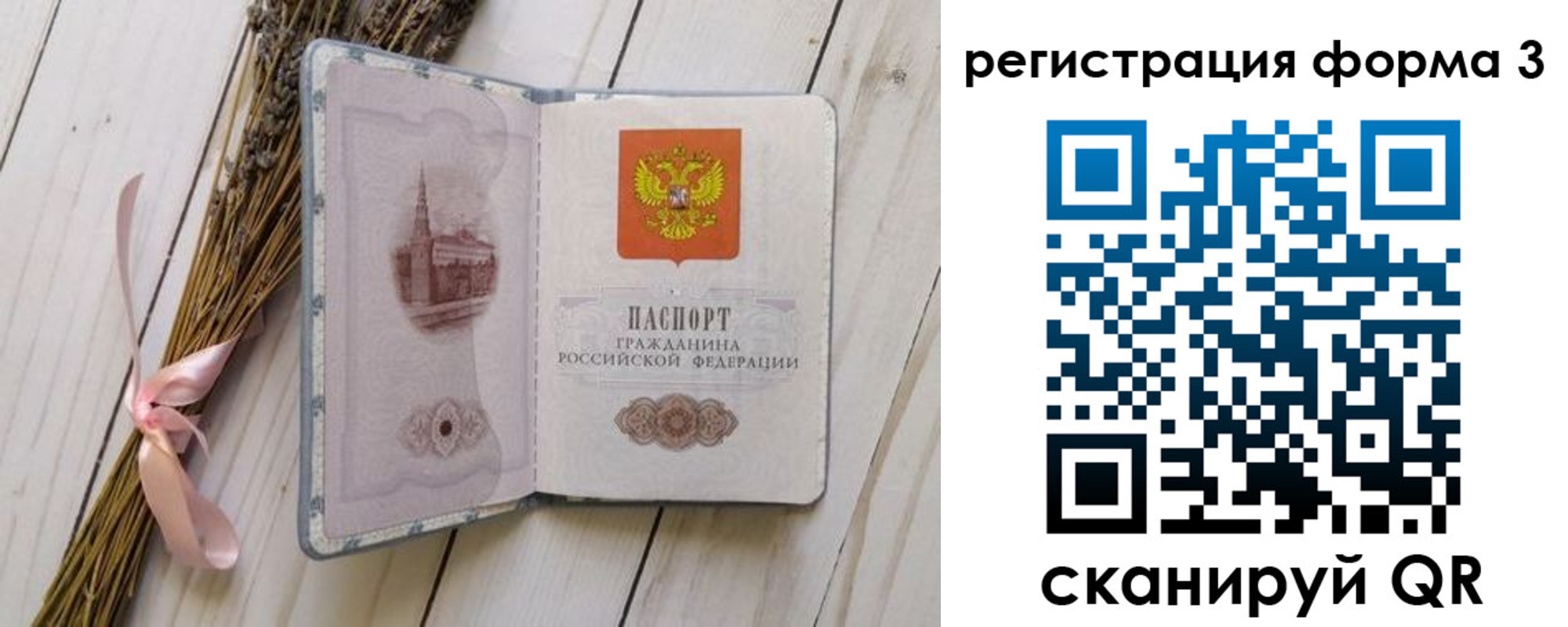 прописка поиск в Новомосковске